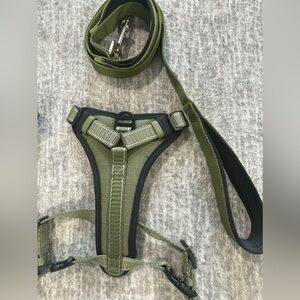 Kong Max XS harness and traffic leash set